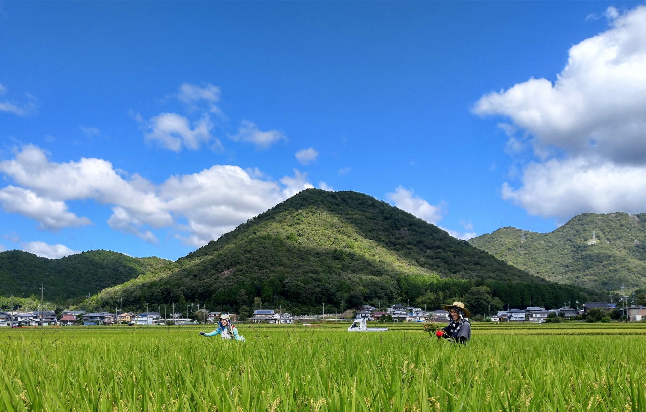 DSC_1877~2